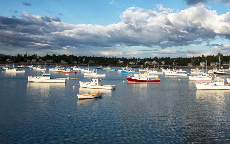 Lobster boats in Southwest Harbor, Maine