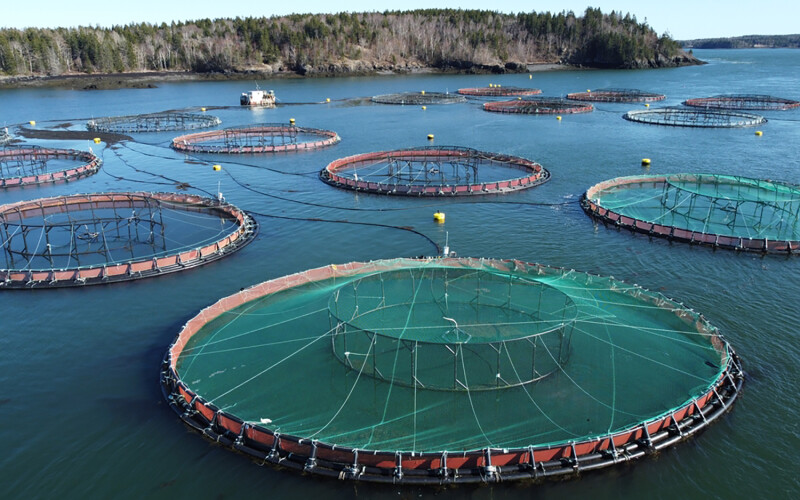 Aquaculture cages