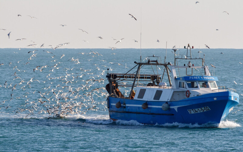 A fishing boat on the Mediterranean Sea