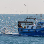 A fishing boat on the Mediterranean Sea