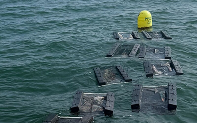 Oyster traps reported stolen in Casco Bay