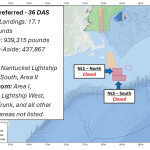 A graphic depicting the scallop fishing areas off the coast of New England