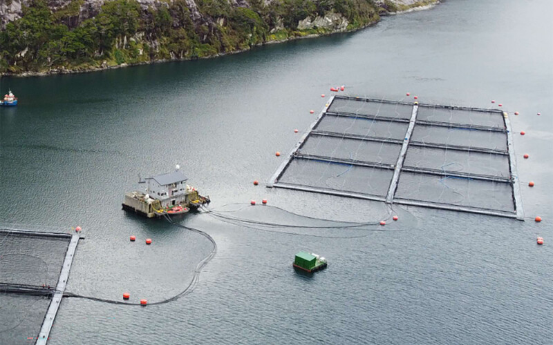 An aerial shot of Nova Austral net pens