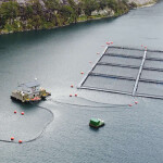 An aerial shot of Nova Austral net pens