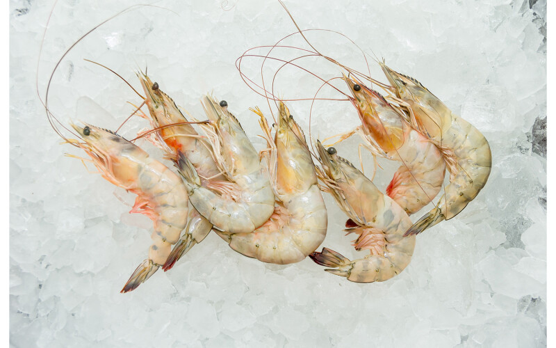 Shrimp on ice