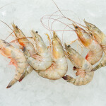 Shrimp on ice