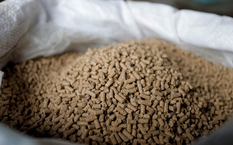 A bag full of aquaculture feed