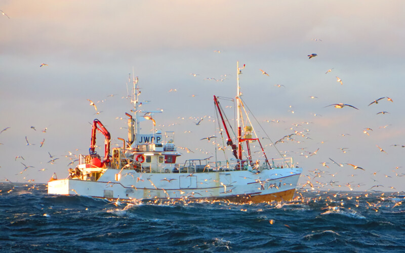 A fishing boat in the Arctic