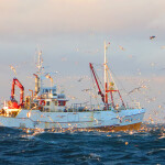 A fishing boat in the Arctic