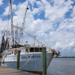Apalachicola Bay
