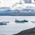 salmon farm in Norway
