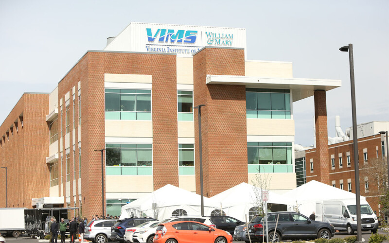 The Virginia Institute of Marine Science