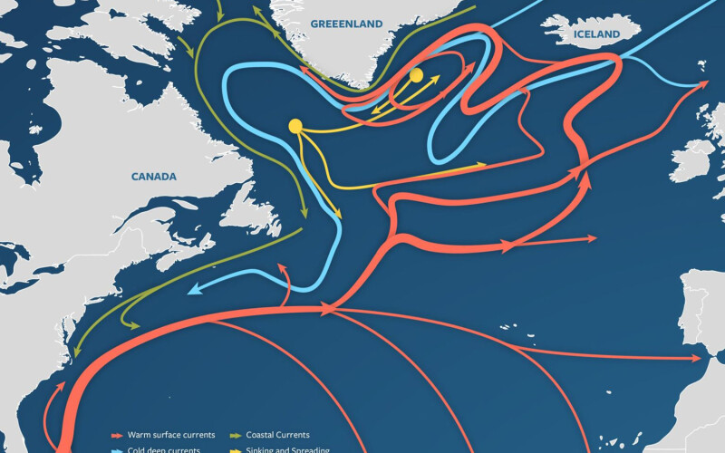 An image showing how the Atlantic Meridional Overturning Circulation circulates global waters and regulates climate
