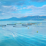 Salmon farm off the coast of Norway