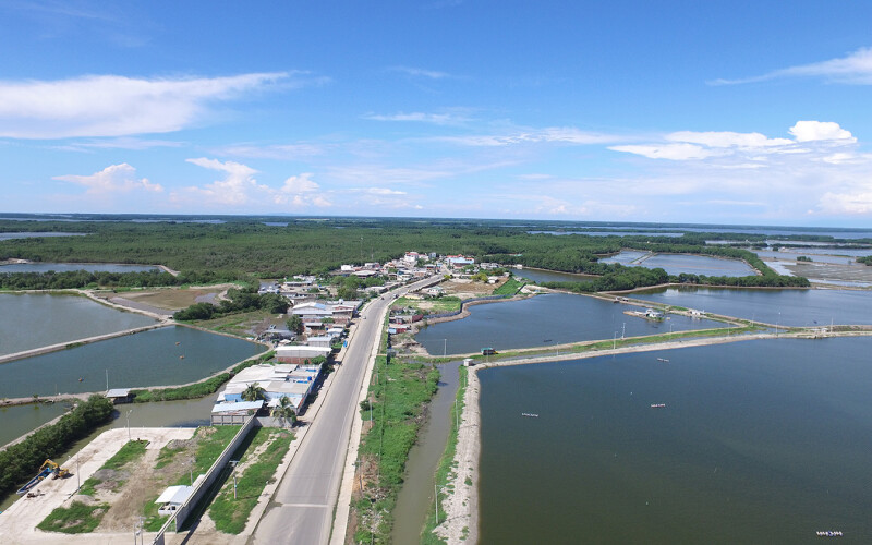 Shrimp production area in Huaquillas, Ecuador