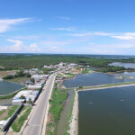 Shrimp production area in Huaquillas, Ecuador