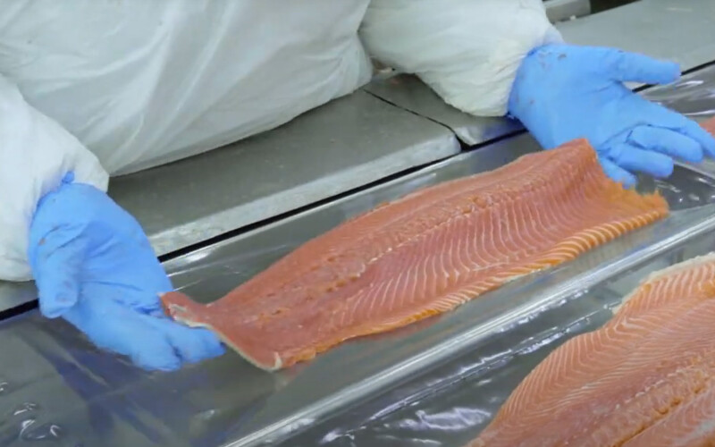 A person placing a salmon fillet in a package