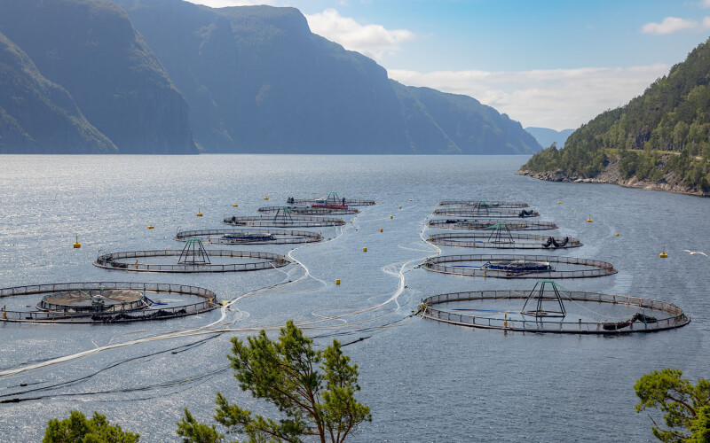 A salmon farm in Norway