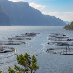 A salmon farm in Norway