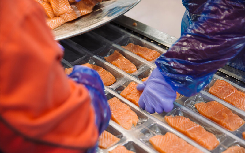 A Norway salmon-processing facility