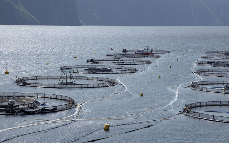 A salmon farm in Norway