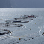 A salmon farm in Norway