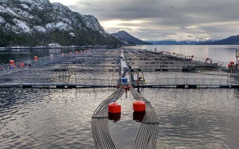 A Nova Austral salmon farm