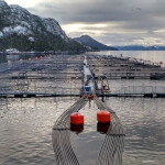 A Nova Austral salmon farm