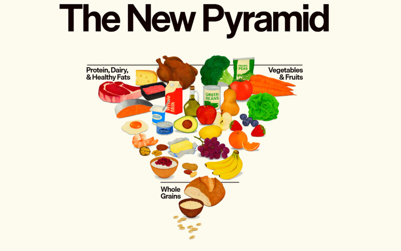 The U.S. Department of Health and Human Services' new inverted food pyramid