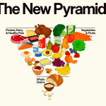 The U.S. Department of Health and Human Services' new inverted food pyramid
