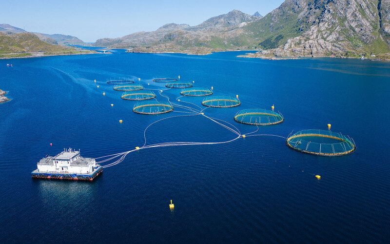 Norwegian salmon farm