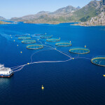 Norwegian salmon farm