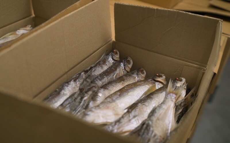 Fish prepared for shipment