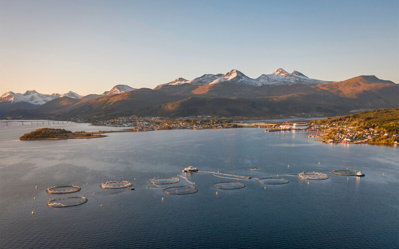 An aerial view of a Norwegian aquaculture operation