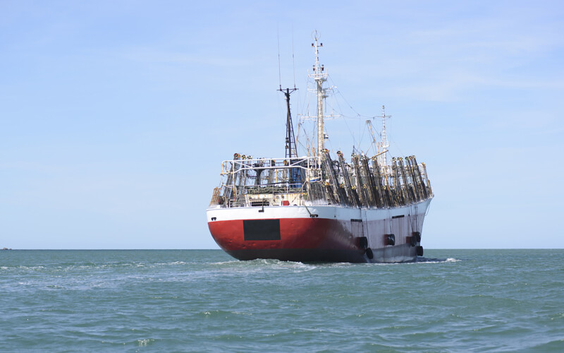 A squid-jigging vessel