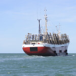 A squid-jigging vessel
