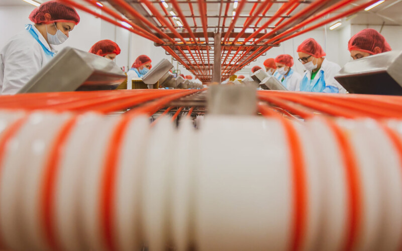 A Mowi processing facility in Poland