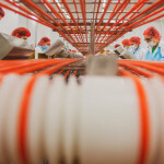 A Mowi processing facility in Poland