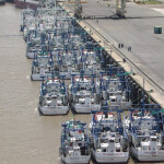 Grupo Pescamar's fleet of vessels in Mozambique