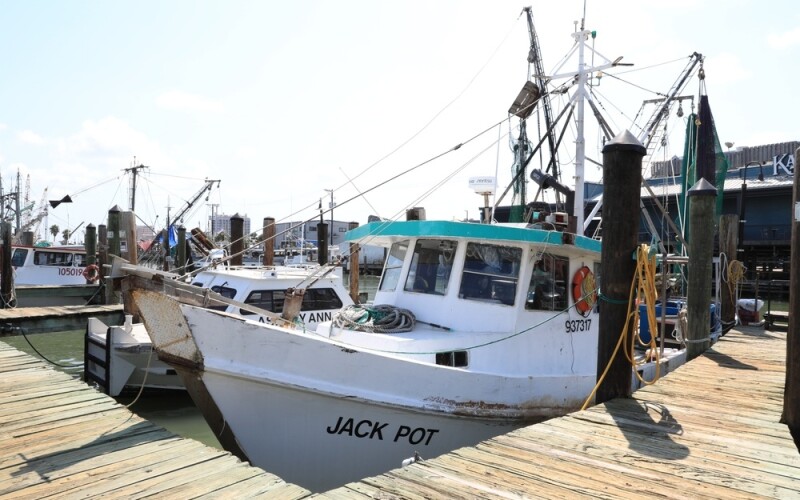 Shrimp vessels in Galveston, Texas, U.S.A.