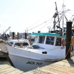 Shrimp vessels in Galveston, Texas, U.S.A.