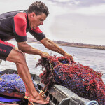 A SETEXAM employee hauling up seaweed from the water