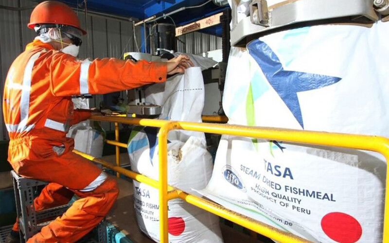 Peruvian fishmeal derived from anchovies
