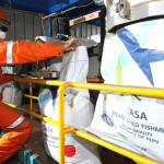 Peruvian fishmeal derived from anchovies