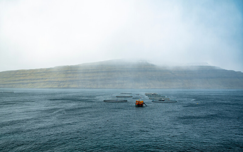 A Faroe Islands salmon farm