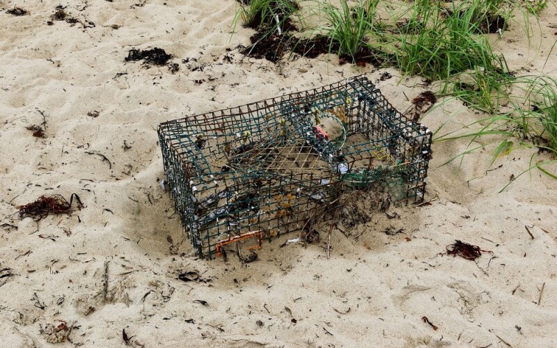 a lobster trap