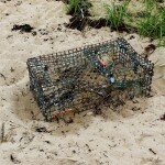 a lobster trap
