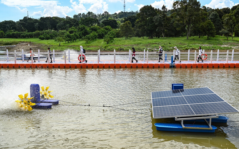 An aquaculture farm in Selangor, Malaysia