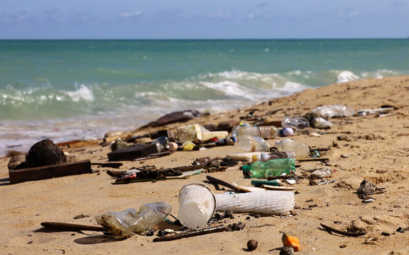 Trash on a beach