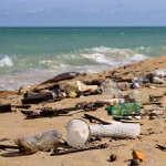 Trash on a beach